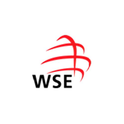 WSE Logo