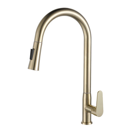 NTL-1814-C(G) Kitchen Cold Tap (Pull Down)