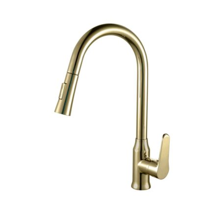 NTL-1816(G) Kitchen Mixer (Pull Down)