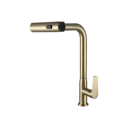 NTL-1818-C(G) Kitchen Cold Tap (Pull Out)