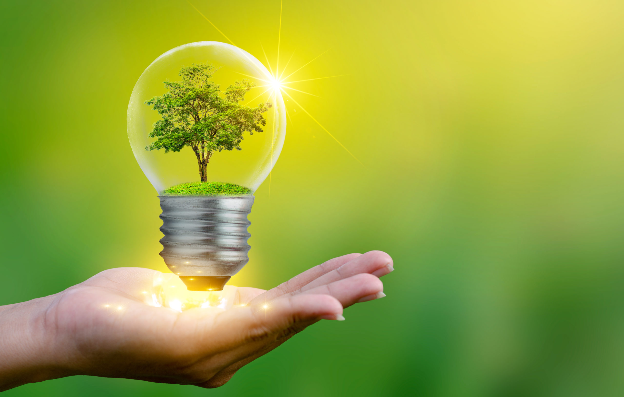 Environmental impact assessment illustration